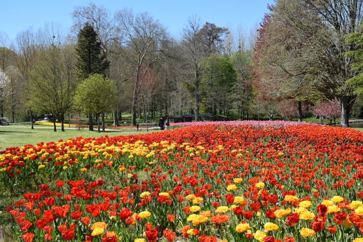 châteaudeCheverny©CdV(5)