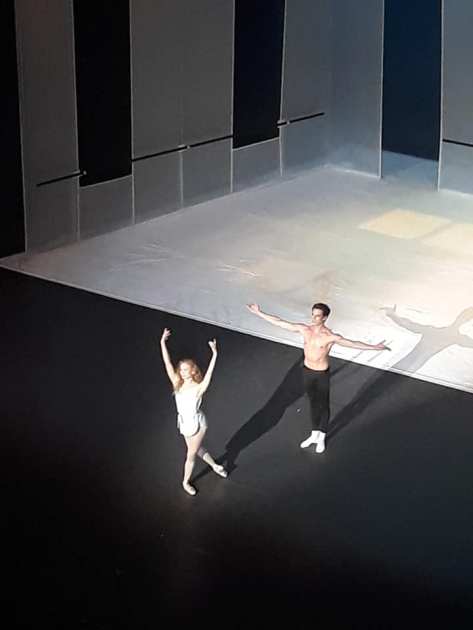 Hommage à Jérôme Robbins_afternoon of a faun